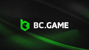 Comprehensive Reviews of BC Apps Insights and Recommendations